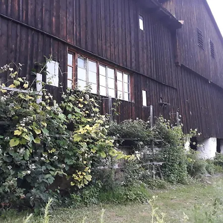 Goscinne Thank Life, 1 Feel Good *