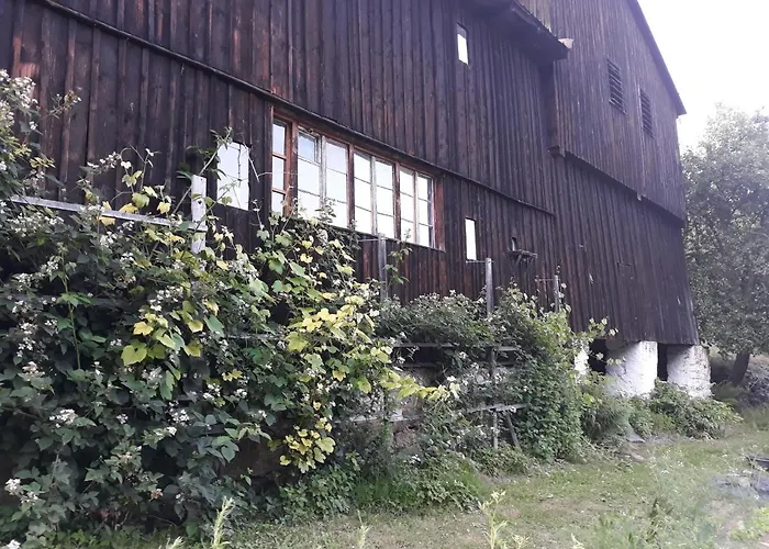 Goscinne Thank Life, 1 Feel Good *